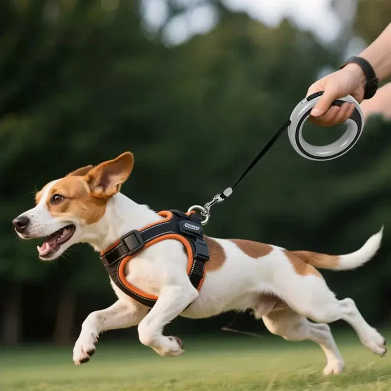 NOUVEAUTÉ 2026 LAISSE MAIN LIBRE Premium pour Chien - 2,5m Automatique