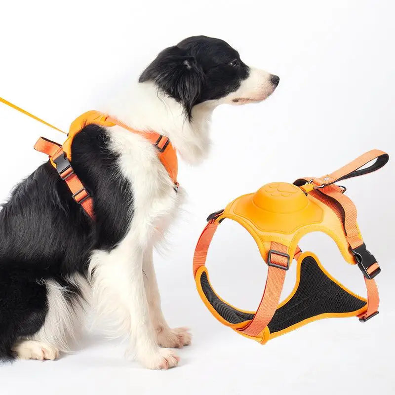 Harnais Laisse 2-en-1 Rétractable Anti-Traction pour Chien Moyen et Grand