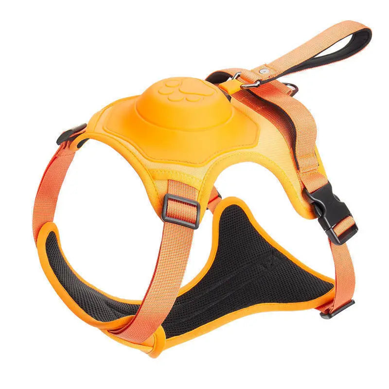 Harnais Laisse 2-en-1 Rétractable Anti-Traction pour Chien Moyen et Grand