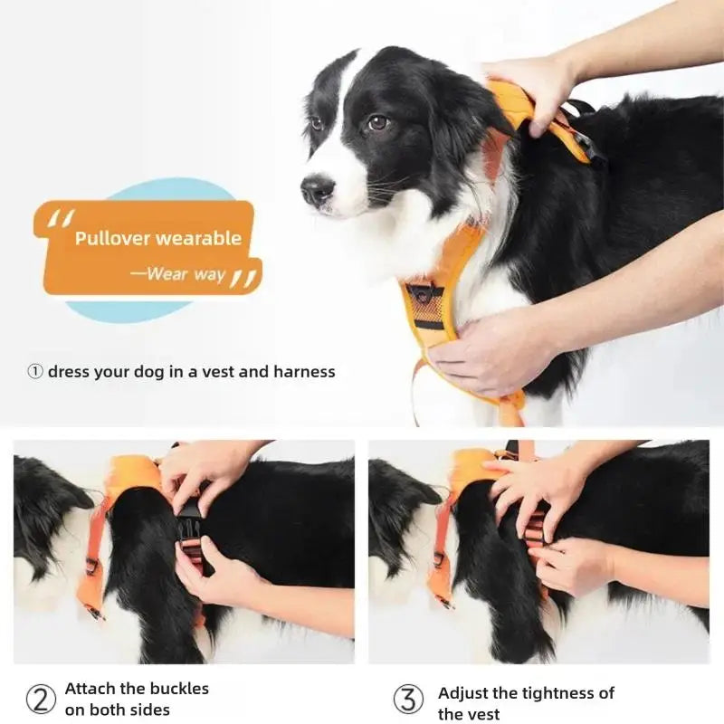 Harnais Laisse 2-en-1 Rétractable Anti-Traction pour Chien Moyen et Grand